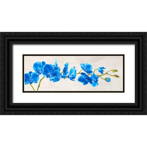 Blue Orchid Black Ornate Wood Framed Art Print with Double Matting by Mills, Shin