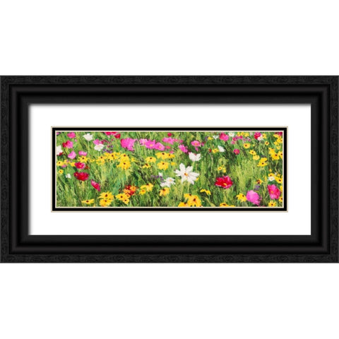 Field of Flowers Black Ornate Wood Framed Art Print with Double Matting by Mei, Silvia