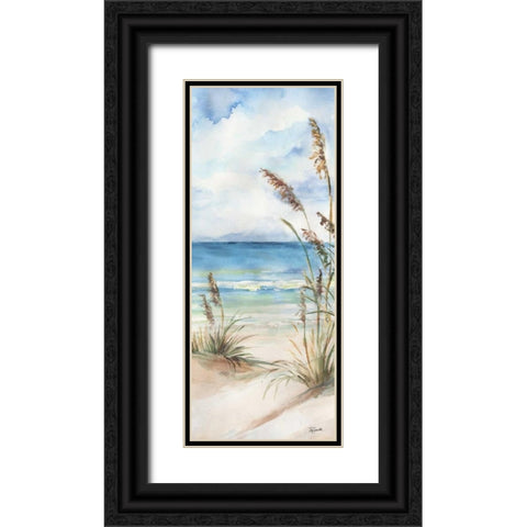 Seaview Panel II Black Ornate Wood Framed Art Print with Double Matting by Tre Sorelle Studios