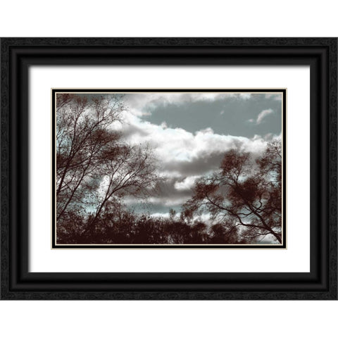 Looking Upward Black Ornate Wood Framed Art Print with Double Matting by Romita, Denise