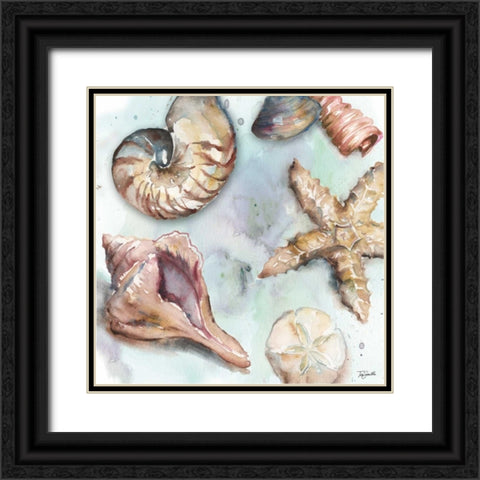 Watercolor Shell Toss II Black Ornate Wood Framed Art Print with Double Matting by Tre Sorelle Studios