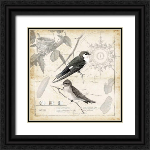 Botanical Birds Black Cream II Black Ornate Wood Framed Art Print with Double Matting by Tre Sorelle Studios