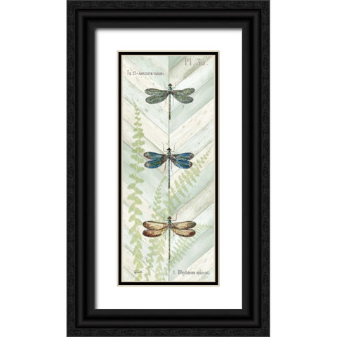 Dragonfly Botanical Panels I Black Ornate Wood Framed Art Print with Double Matting by Tre Sorelle Studios