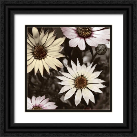 Hint of Spring I Black Ornate Wood Framed Art Print with Double Matting by Romita, Denise