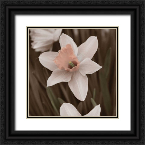 Hint of Spring II Black Ornate Wood Framed Art Print with Double Matting by Romita, Denise