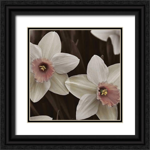 Hint of Spring III Black Ornate Wood Framed Art Print with Double Matting by Romita, Denise