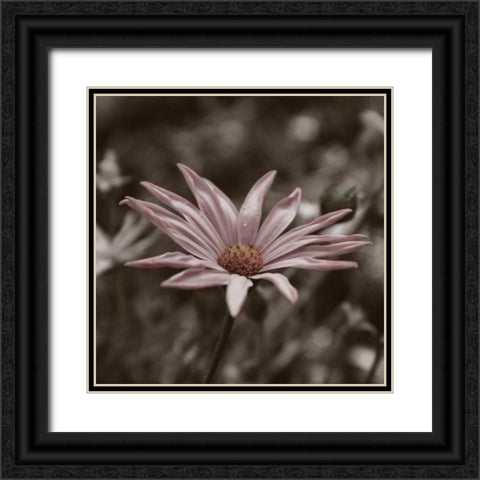 Hint of Spring IV Black Ornate Wood Framed Art Print with Double Matting by Romita, Denise