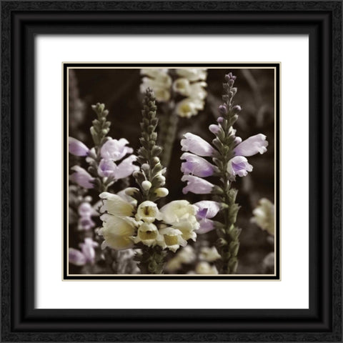 Hint of Spring V Black Ornate Wood Framed Art Print with Double Matting by Romita, Denise