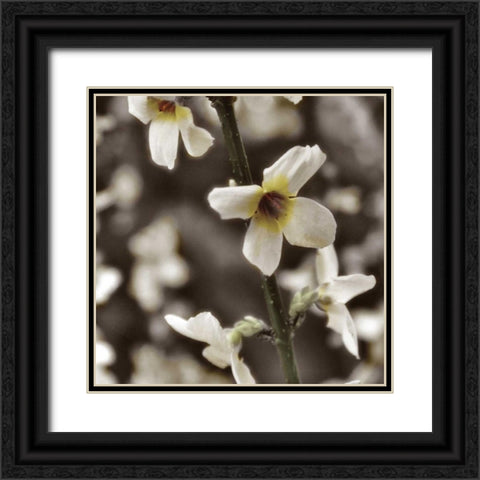 Hint of Spring VI Black Ornate Wood Framed Art Print with Double Matting by Romita, Denise