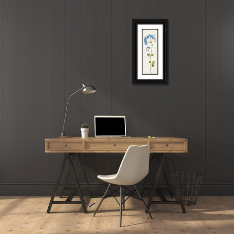 Airy Blues II Black Ornate Wood Framed Art Print with Double Matting by Gladding, Pamela