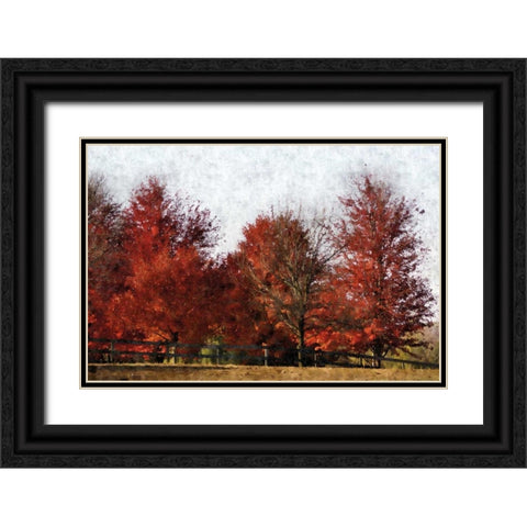 Fall Reds Black Ornate Wood Framed Art Print with Double Matting by Romita, Denise