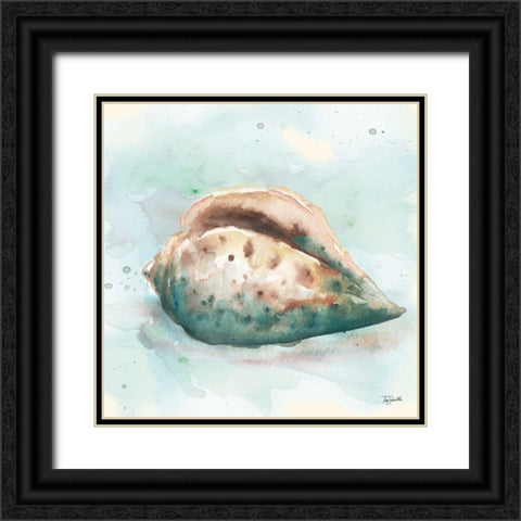 Watercolor Shells I Black Ornate Wood Framed Art Print with Double Matting by Tre Sorelle Studios