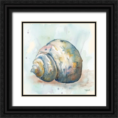 Watercolor Shells IV Black Ornate Wood Framed Art Print with Double Matting by Tre Sorelle Studios