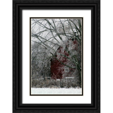 Sheltered Black Ornate Wood Framed Art Print with Double Matting by Romita, Denise