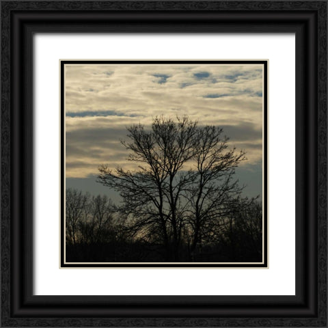 Morning Silhouette Black Ornate Wood Framed Art Print with Double Matting by Romita, Denise