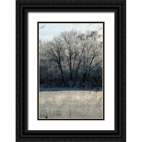 Ice Mist Black Ornate Wood Framed Art Print with Double Matting by Romita, Denise