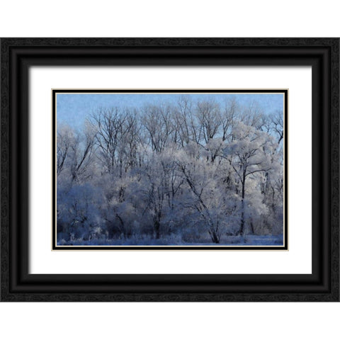 Ice Land Black Ornate Wood Framed Art Print with Double Matting by Romita, Denise