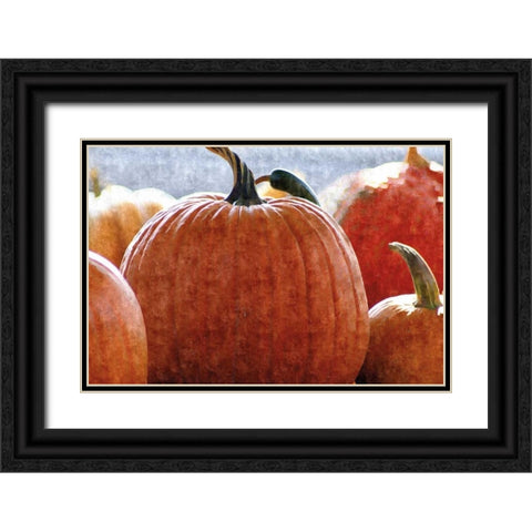 Fall Pumpkin Black Ornate Wood Framed Art Print with Double Matting by Romita, Denise