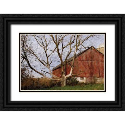 The Old Barn Black Ornate Wood Framed Art Print with Double Matting by Romita, Denise