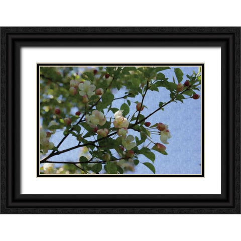 Blossom Branch Black Ornate Wood Framed Art Print with Double Matting by Romita, Denise