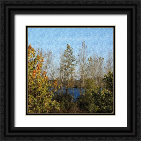 Trees of Fall Black Ornate Wood Framed Art Print with Double Matting by Romita, Denise