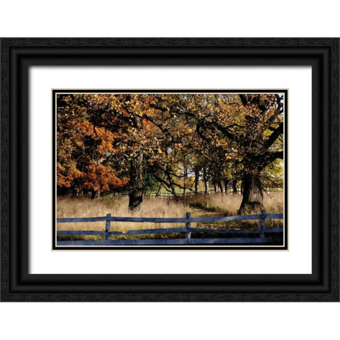 Fenced In Black Ornate Wood Framed Art Print with Double Matting by Romita, Denise