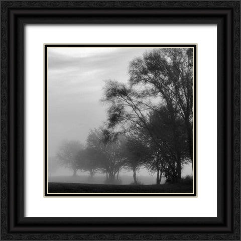 Fog Through the Trees II Black Ornate Wood Framed Art Print with Double Matting by Romita, Denise