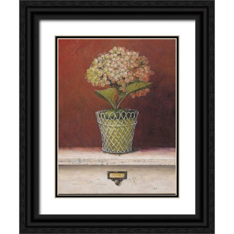 Hydrangea Study Black Ornate Wood Framed Art Print with Double Matting by Fisk, Arnie