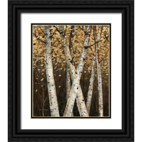 Shimmering Birches 1 Black Ornate Wood Framed Art Print with Double Matting by Fisk, Arnie