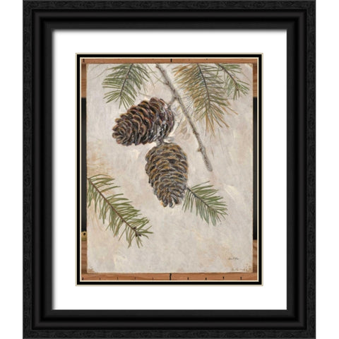 Rustic Pine Cones Black Ornate Wood Framed Art Print with Double Matting by Fisk, Arnie