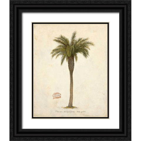 Date Palm Illustration Â Â Â Â Â Â Â Â Â Â Â Â Â Â   Black Ornate Wood Framed Art Print with Double Matting by Fisk, Arnie