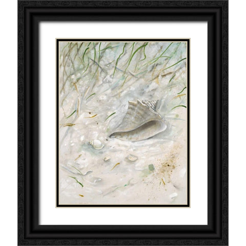 Seaside ConchÂ  Black Ornate Wood Framed Art Print with Double Matting by FISK, Arnie