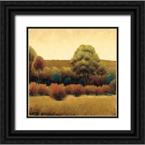 Amber Horizon 2 Black Ornate Wood Framed Art Print with Double Matting by Wiens, James