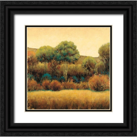 Amber Horizon 1 Black Ornate Wood Framed Art Print with Double Matting by Wiens, James