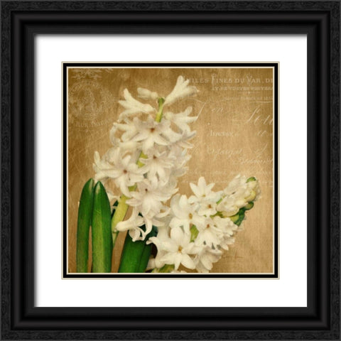 Scent of A Flower Black Ornate Wood Framed Art Print with Double Matting by Atria, Cristin