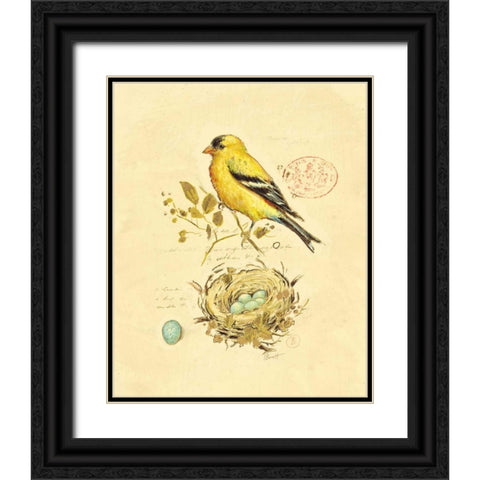 Gilded Songbird 2 Black Ornate Wood Framed Art Print with Double Matting by Barrett, Chad