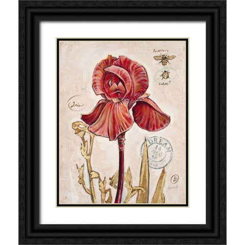Ruby Collection 2 Black Ornate Wood Framed Art Print with Double Matting by Barrett, Chad