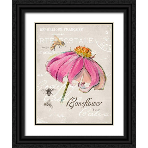 Sketchbook Coneflower  Black Ornate Wood Framed Art Print with Double Matting by Barrett, Chad