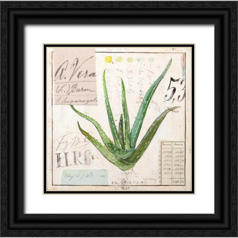 Aloe Vera-Sketchbook Black Ornate Wood Framed Art Print with Double Matting by Staehling, Angela