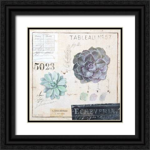 Echeveria-Sketchbook Black Ornate Wood Framed Art Print with Double Matting by Staehling, Angela