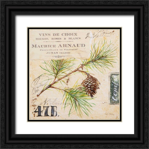 Fir Branch-Sketchbook Black Ornate Wood Framed Art Print with Double Matting by Staehling, Angela