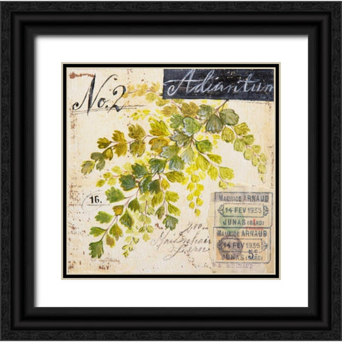 Maidenhair Fern-Sketchbook Black Ornate Wood Framed Art Print with Double Matting by Staehling, Angela