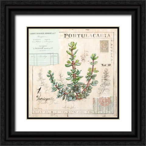 Portulacaria-Sketchbook Black Ornate Wood Framed Art Print with Double Matting by Staehling, Angela