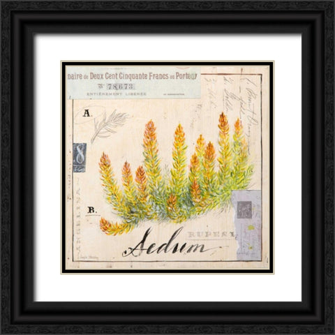 Sedium-Sketchbook Black Ornate Wood Framed Art Print with Double Matting by Staehling, Angela