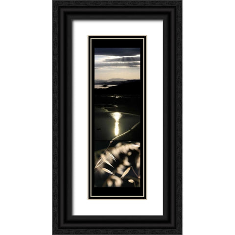 Moon Light Enchantment  Black Ornate Wood Framed Art Print with Double Matting by Rauscher, Michel