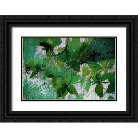 Fresh Green 2 Black Ornate Wood Framed Art Print with Double Matting by Rauscher, Michel