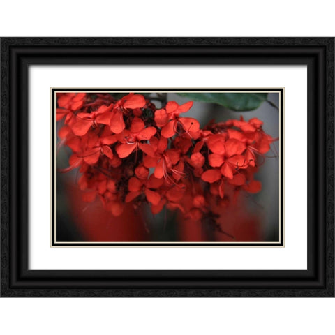 Red Autumn 1 Black Ornate Wood Framed Art Print with Double Matting by Rauscher, Michel