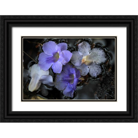 Floral Pond 2 Black Ornate Wood Framed Art Print with Double Matting by Rauscher, Michel