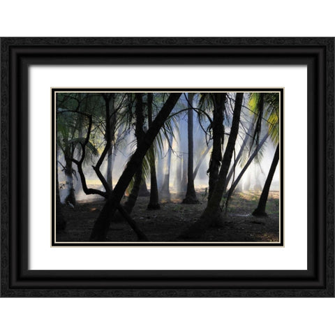 Sunset Enchantment 1 Black Ornate Wood Framed Art Print with Double Matting by Rauscher, Michel