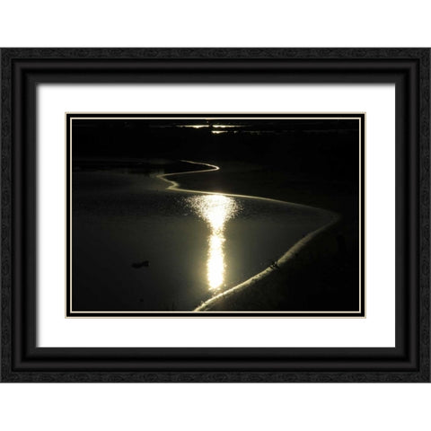 Moonlight Enchantment 2 Black Ornate Wood Framed Art Print with Double Matting by Rauscher, Michel